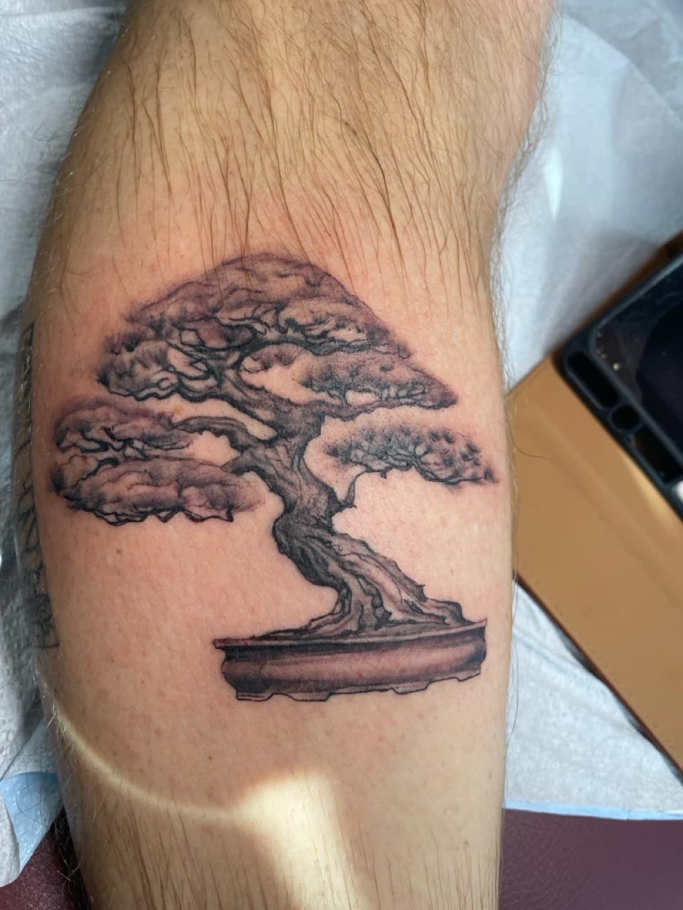 Black & Grey + Realism bonsai tattoo on Calf by all_saints_social on TattMe