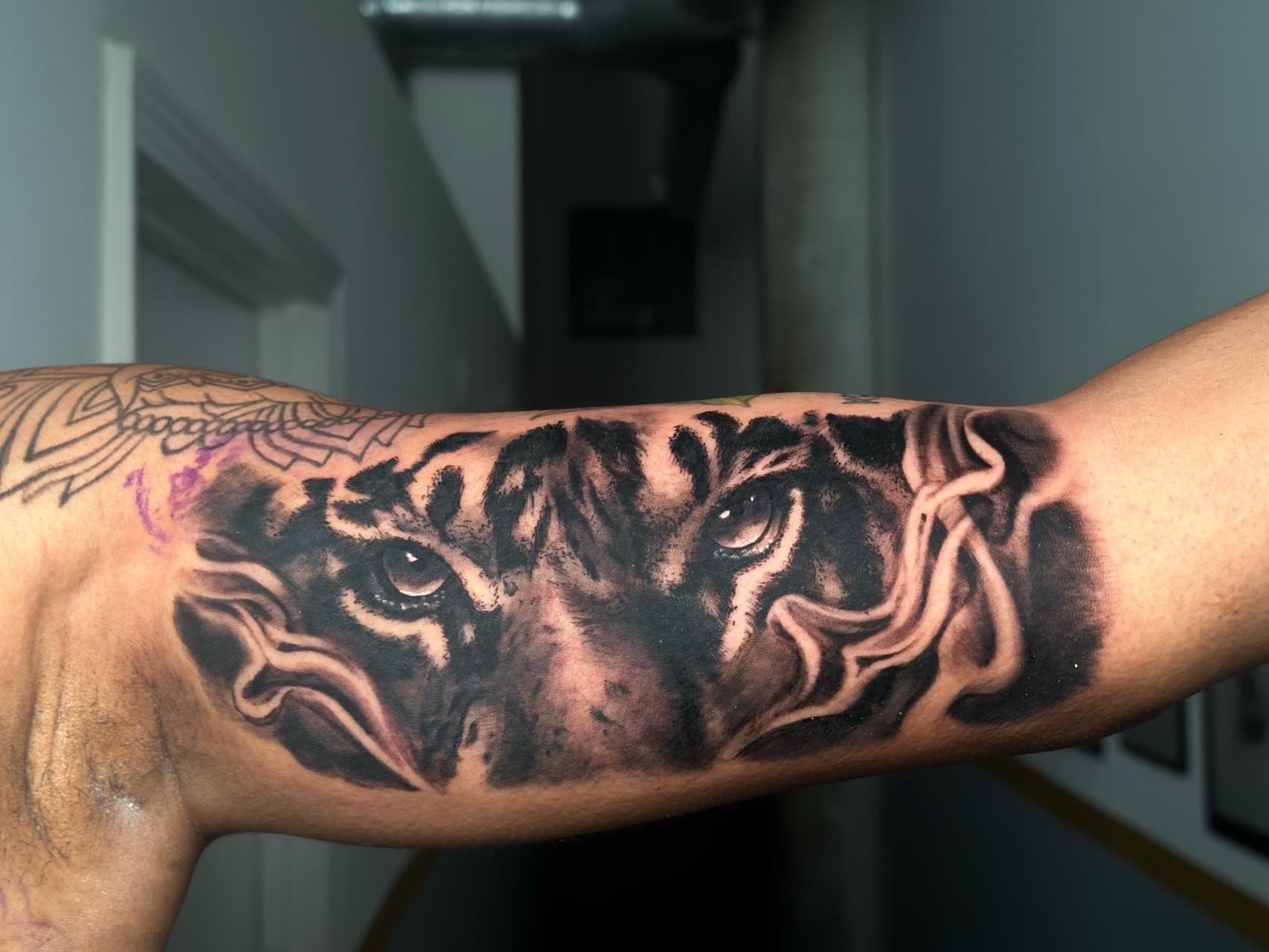 Black & Grey + Realism tiger tattoo on Upper Arm by J.R._Outlaw on TattMe