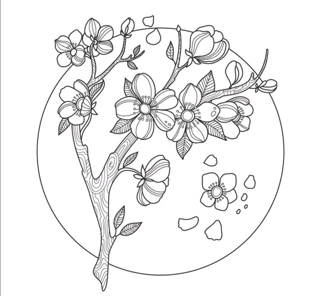 Floral + Line-work cherry blossoms tattoo by mimsey_ink on TattMe