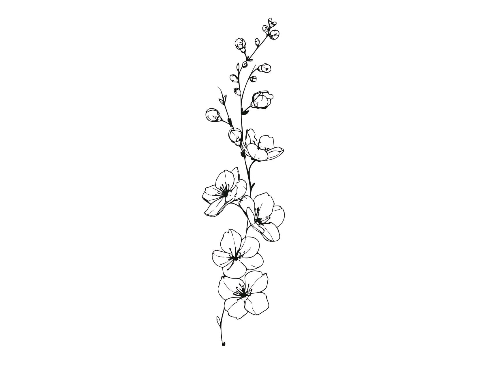 Fine Line + Floral flowers tattoo by mimsey_ink on TattMe
