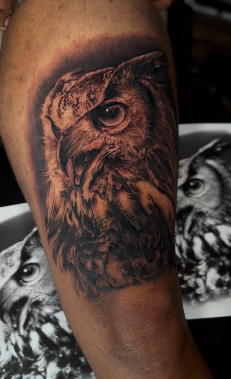 Realism + Black & Grey owl tattoo on Upper Arm by Cael_Tattoos on TattMe