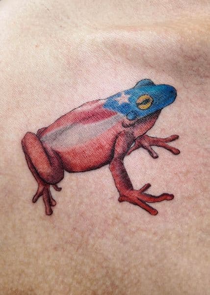 Color + Illustrative frog tattoo on Chest by TreeHouseInkk on TattMe