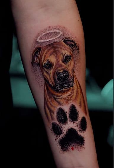 Realism + Color dog tattoo on Forearm by Gonas_Art on TattMe
