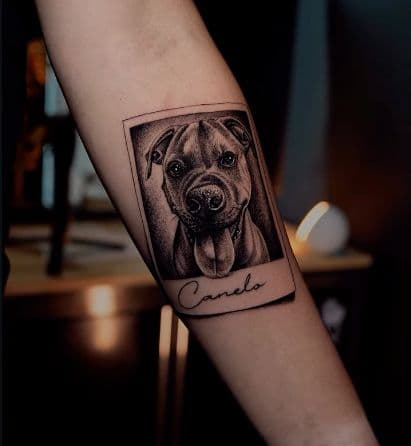Realism + Black & Grey dog tattoo on Forearm by Gonas_Art on TattMe