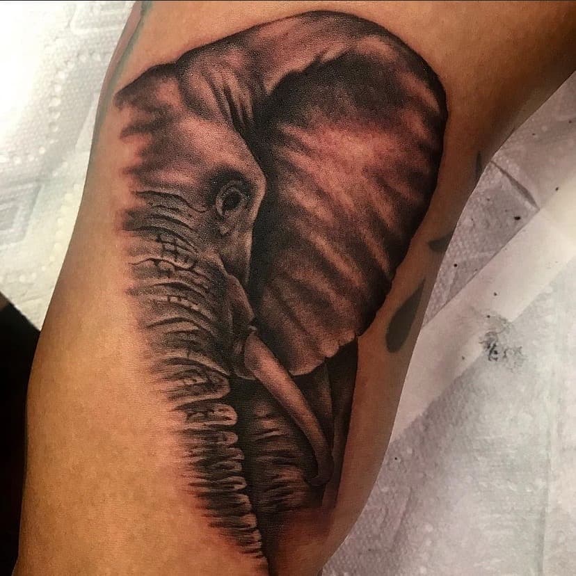 Realism + Black & Grey elephant tattoo on Upper Arm by A1_gallery on TattMe