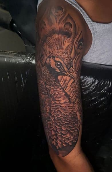 Black & Grey + Realism peacock tattoo on Upper Arm by Callme_Lroy on TattMe