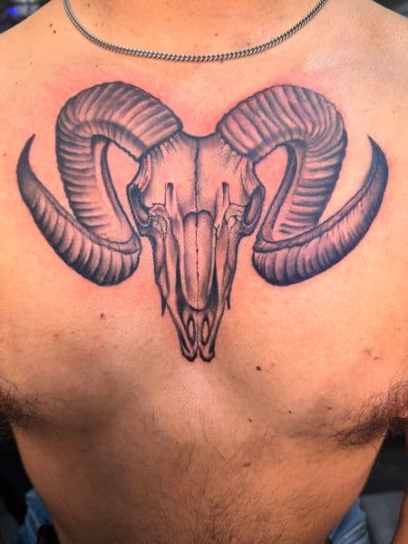 Black & Grey + Realism ram skull tattoo on Chest by Inked_By_Tk on TattMe