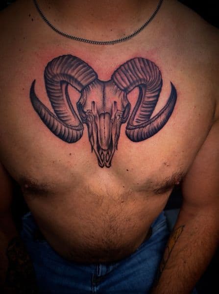Black & Grey + Realism ram skull tattoo on Chest by Inked_By_Tk on TattMe