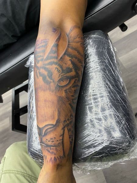 Realism + Black & Grey tiger tattoo on Forearm by Trill.Tattoos on TattMe