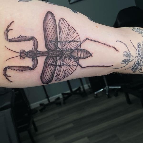 Black & Grey + Illustrative praying mantis tattoo on Forearm by Trill.Tattoos on TattMe