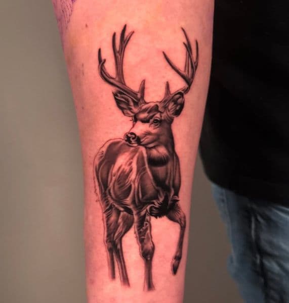 Black & Grey + Realism deer tattoo on Forearm by Jinx on TattMe