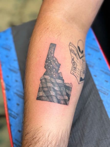 Black & Grey + Illustrative idaho tattoo on Forearm by InkedbyJunior on TattMe