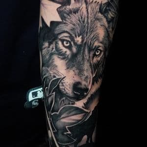 Black & Grey + Realism wolf tattoo on Forearm by TATMANERC on TattMe