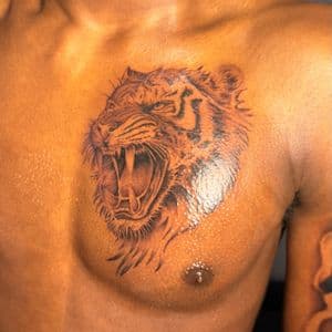 Black & Grey + Illustrative tiger tattoo on Chest by tattoo.banditt on TattMe