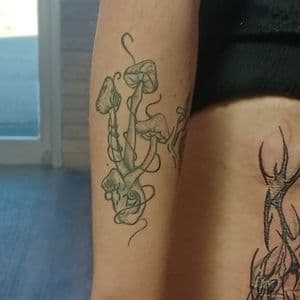 Black & Grey + Illustrative mushrooms tattoo on Upper Arm by nomad_ink on TattMe