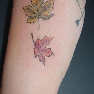 Color + Illustrative leaves tattoo on Upper Arm by nomad_ink on TattMe