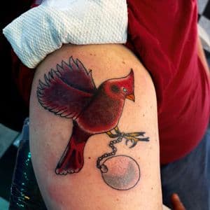 Traditional + Color cardinal tattoo on Upper Arm by Meaney_Tattoos_06 on TattMe