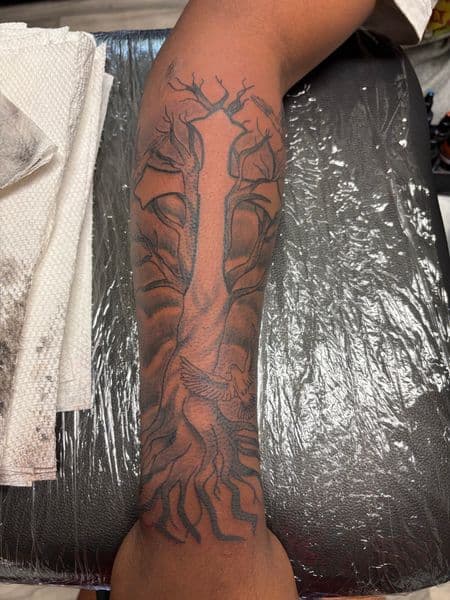Black & Grey + Illustrative tree tattoo on Forearm by TatsByDaVinci on TattMe