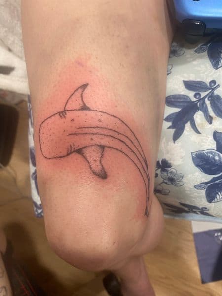 Line-work + Dot-work whale shark tattoo on Knee by linedbylia on TattMe