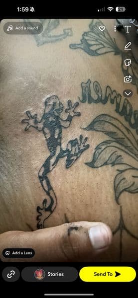 Black-work + Line-work frog tattoo on Upper Back by kingandqueentatz on TattMe