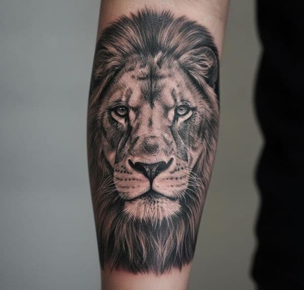 Realism + Black & Grey lion tattoo on Forearm by Urban_Ink_Studio_ on TattMe