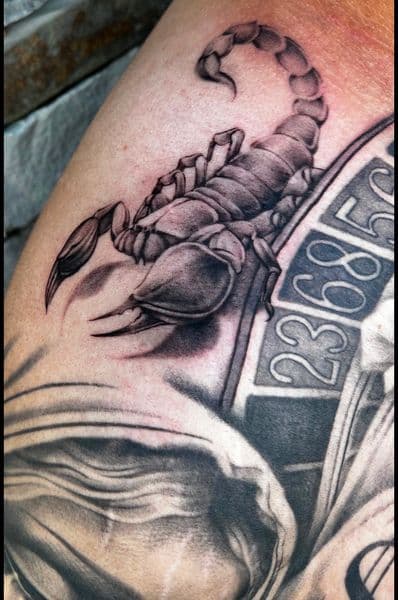 Black & Grey + Realism scorpion tattoo on Shoulder by danibtat2 on TattMe