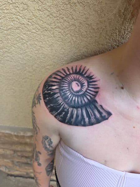 Black & Grey + Illustrative ammonite tattoo on Shoulder by brent_holbrook_ on TattMe